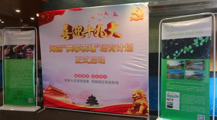 PA视讯(中国)集团官网 - PlayAce