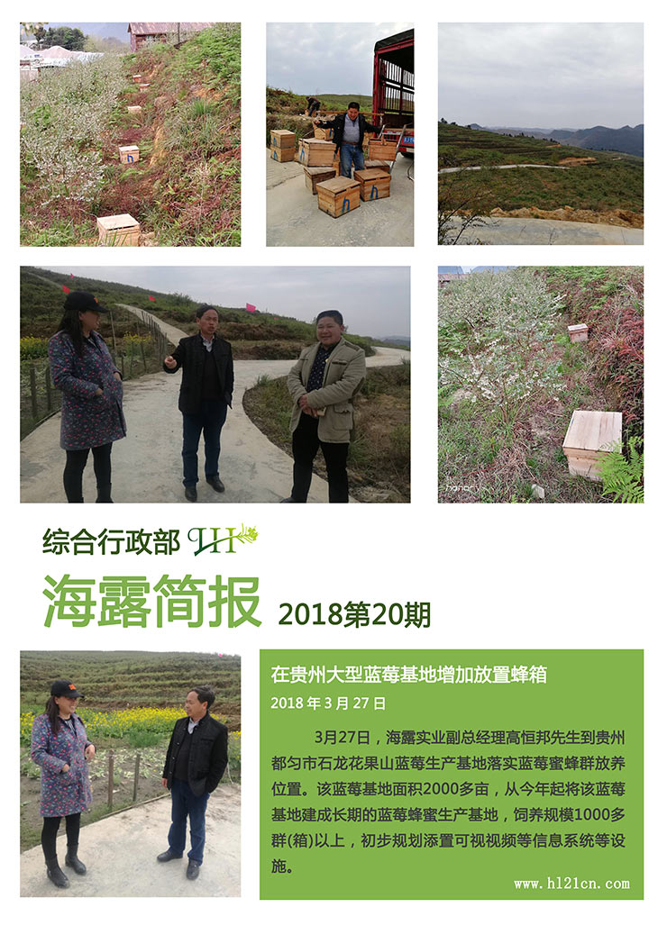 PA视讯(中国)集团官网 - PlayAce