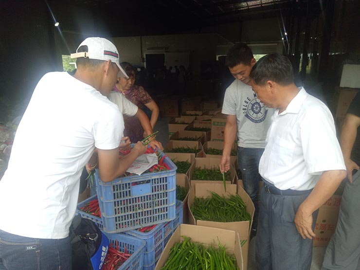 PA视讯(中国)集团官网 - PlayAce