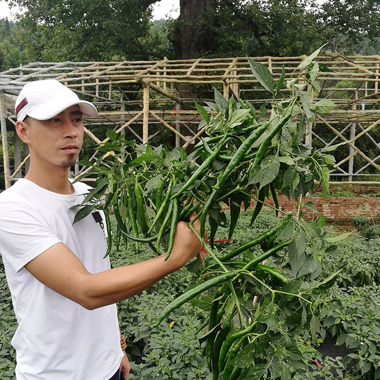 PA视讯(中国)集团官网 - PlayAce