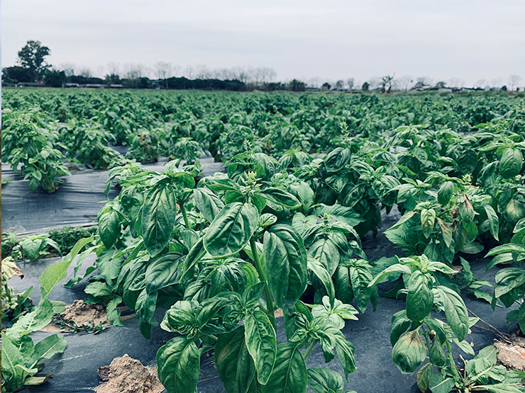 PA视讯(中国)集团官网 - PlayAce