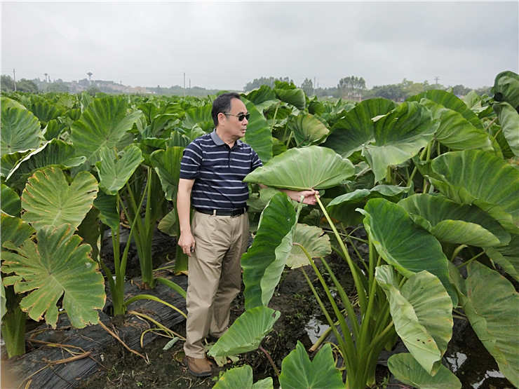 PA视讯(中国)集团官网 - PlayAce