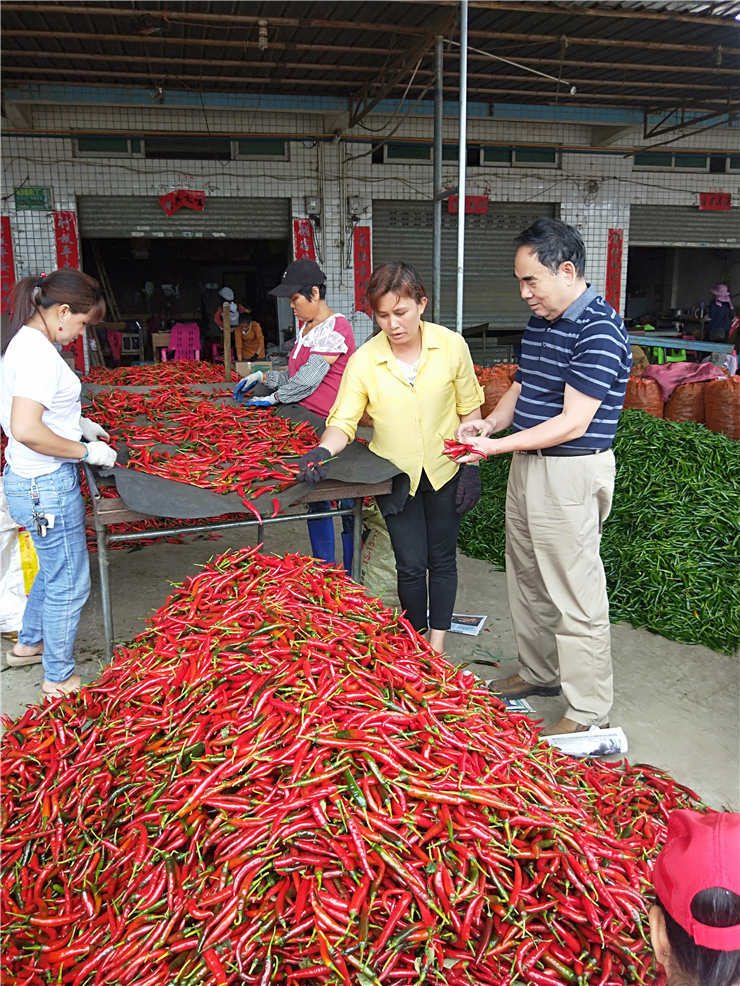 PA视讯(中国)集团官网 - PlayAce