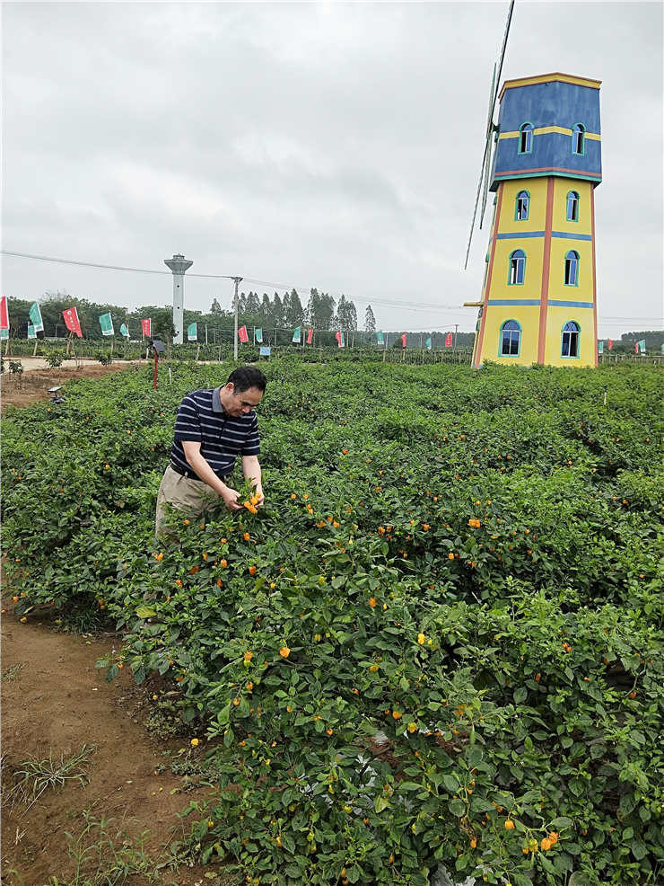 PA视讯(中国)集团官网 - PlayAce