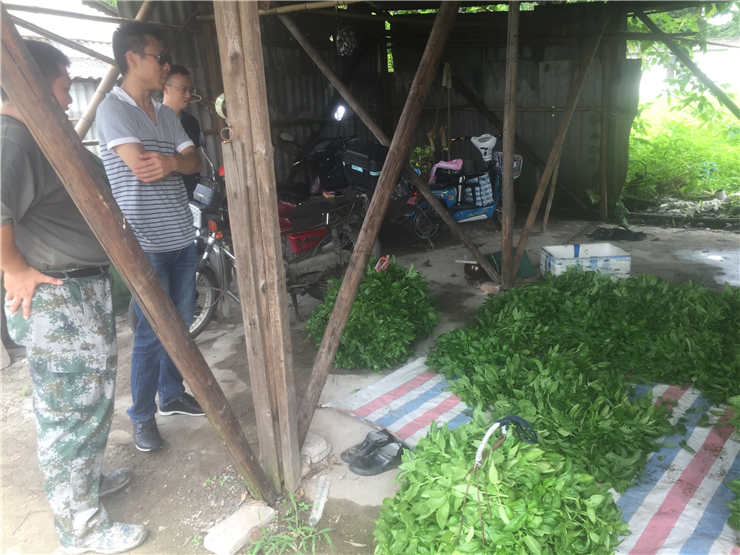 PA视讯(中国)集团官网 - PlayAce