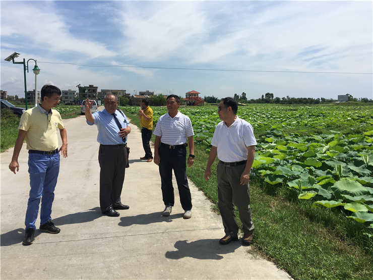 PA视讯(中国)集团官网 - PlayAce