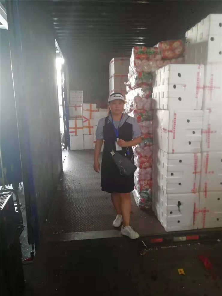 PA视讯(中国)集团官网 - PlayAce