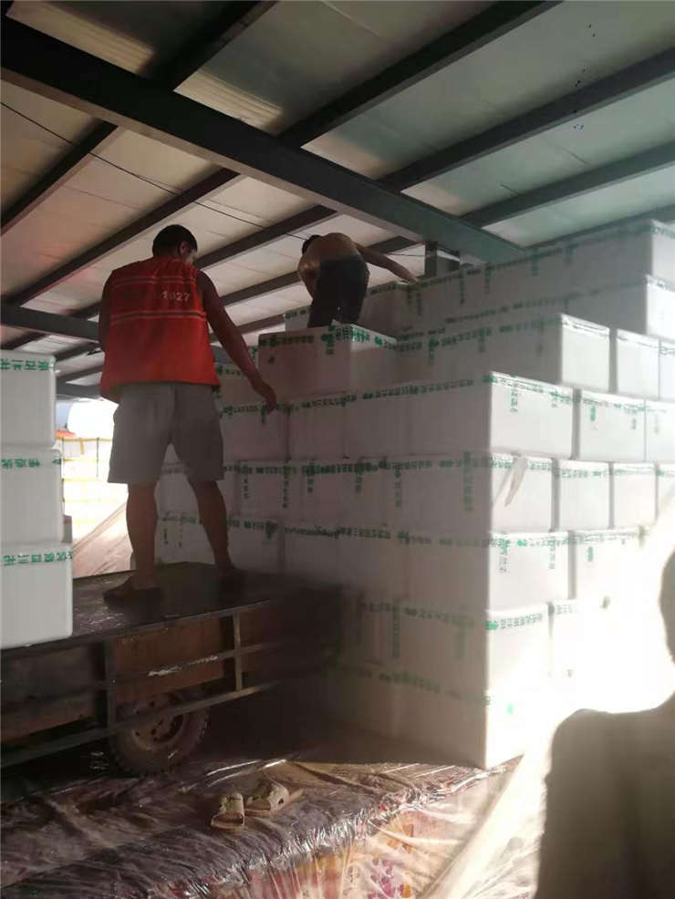 PA视讯(中国)集团官网 - PlayAce