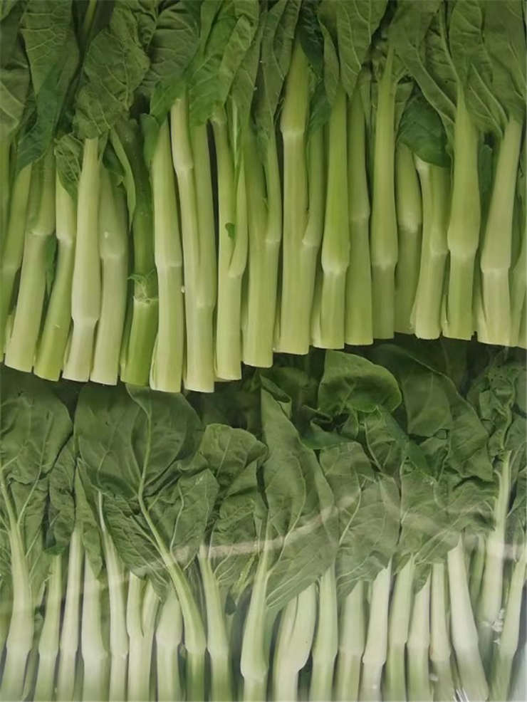 PA视讯(中国)集团官网 - PlayAce