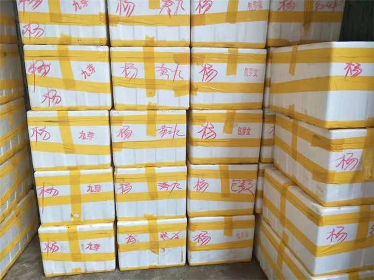 PA视讯(中国)集团官网 - PlayAce