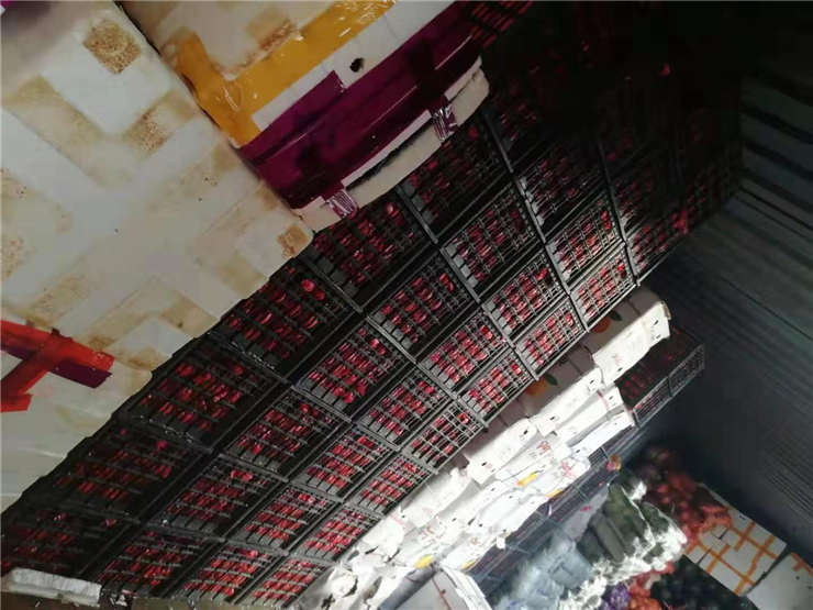 PA视讯(中国)集团官网 - PlayAce