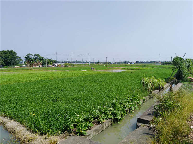 PA视讯(中国)集团官网 - PlayAce