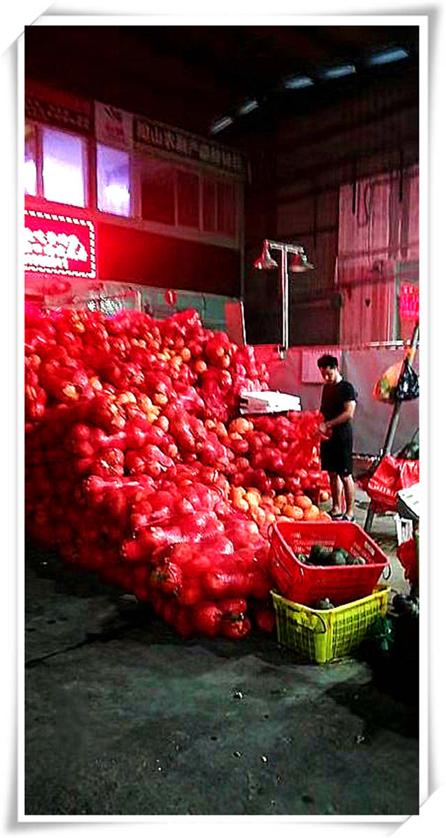 PA视讯(中国)集团官网 - PlayAce