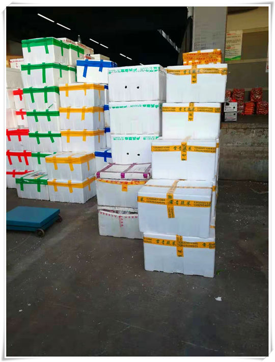 PA视讯(中国)集团官网 - PlayAce