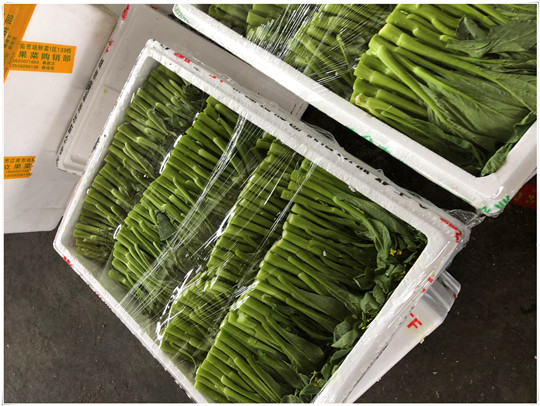 PA视讯(中国)集团官网 - PlayAce