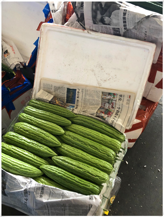 PA视讯(中国)集团官网 - PlayAce