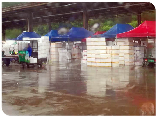 PA视讯(中国)集团官网 - PlayAce