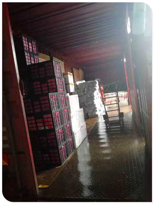 PA视讯(中国)集团官网 - PlayAce