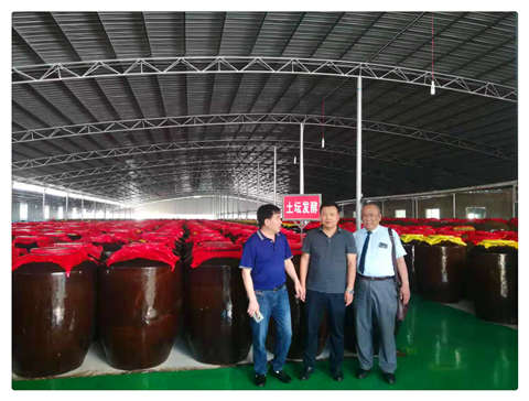 PA视讯(中国)集团官网 - PlayAce