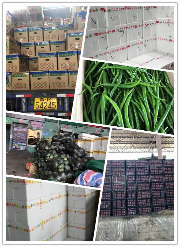 PA视讯(中国)集团官网 - PlayAce