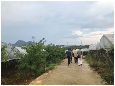 PA视讯(中国)集团官网 - PlayAce