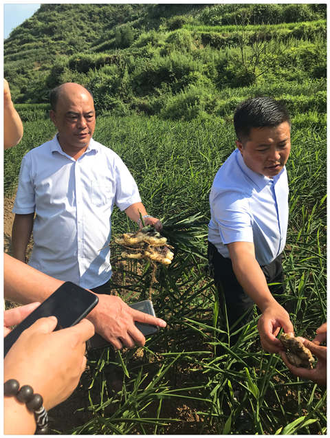 PA视讯(中国)集团官网 - PlayAce