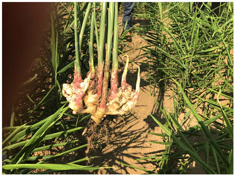 PA视讯(中国)集团官网 - PlayAce