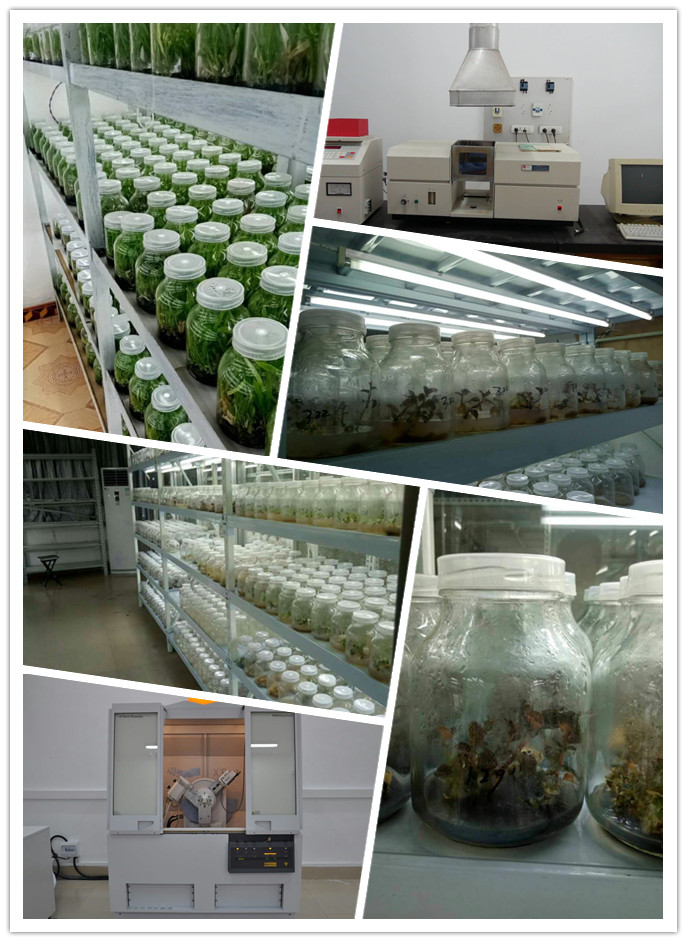 PA视讯(中国)集团官网 - PlayAce