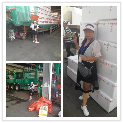 PA视讯(中国)集团官网 - PlayAce