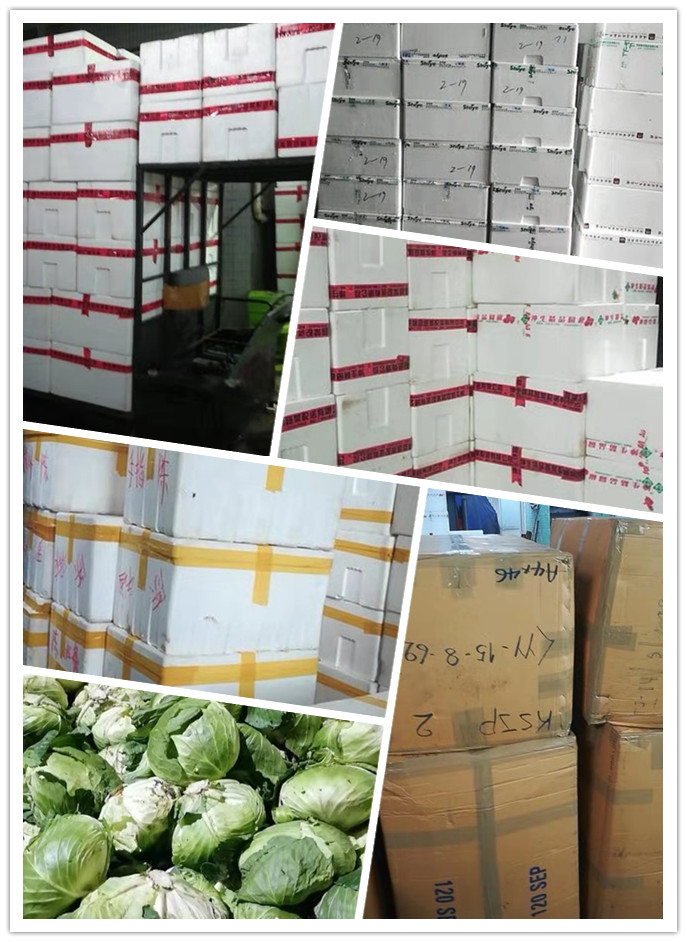 PA视讯(中国)集团官网 - PlayAce