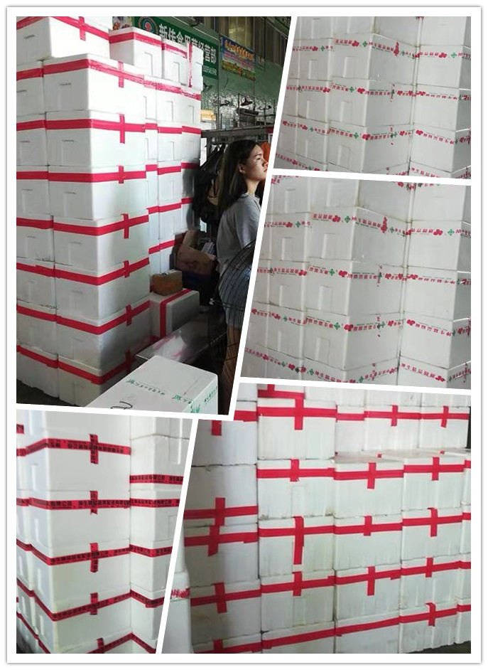 PA视讯(中国)集团官网 - PlayAce