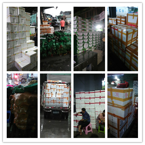 PA视讯(中国)集团官网 - PlayAce