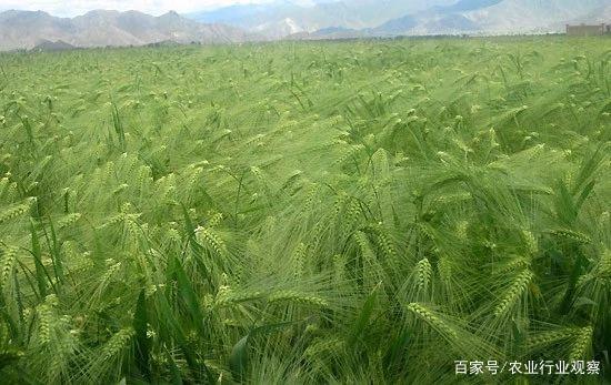 PA视讯(中国)集团官网 - PlayAce