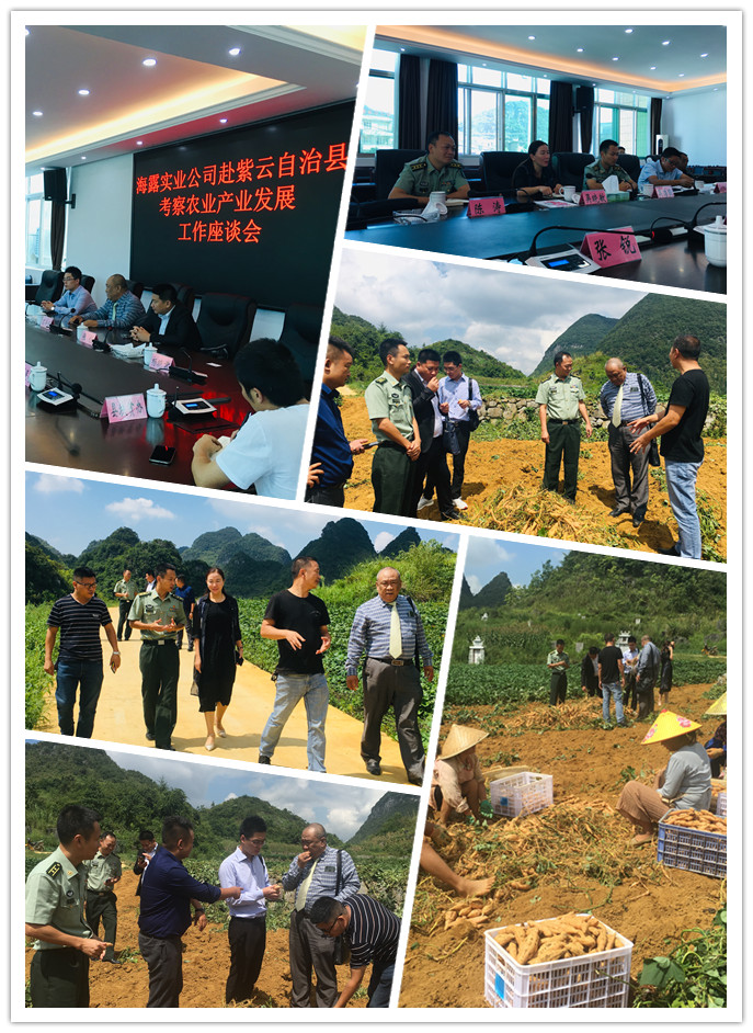 PA视讯(中国)集团官网 - PlayAce