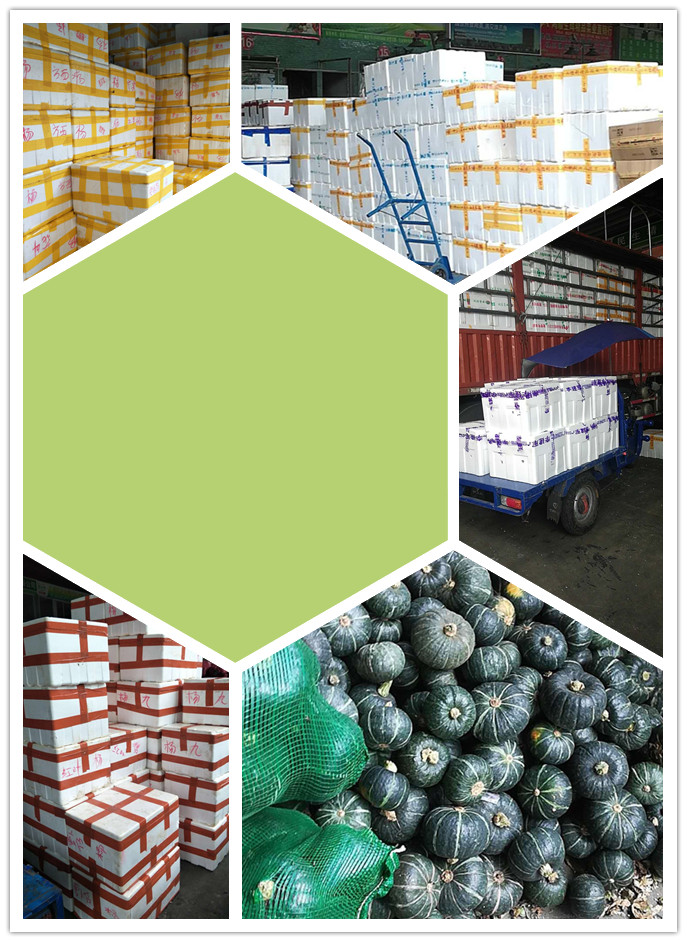 PA视讯(中国)集团官网 - PlayAce