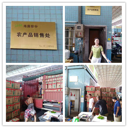 PA视讯(中国)集团官网 - PlayAce