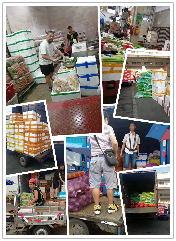 PA视讯(中国)集团官网 - PlayAce