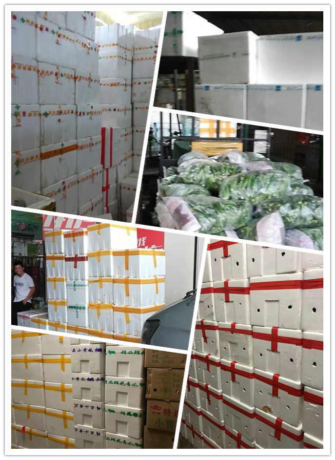 PA视讯(中国)集团官网 - PlayAce