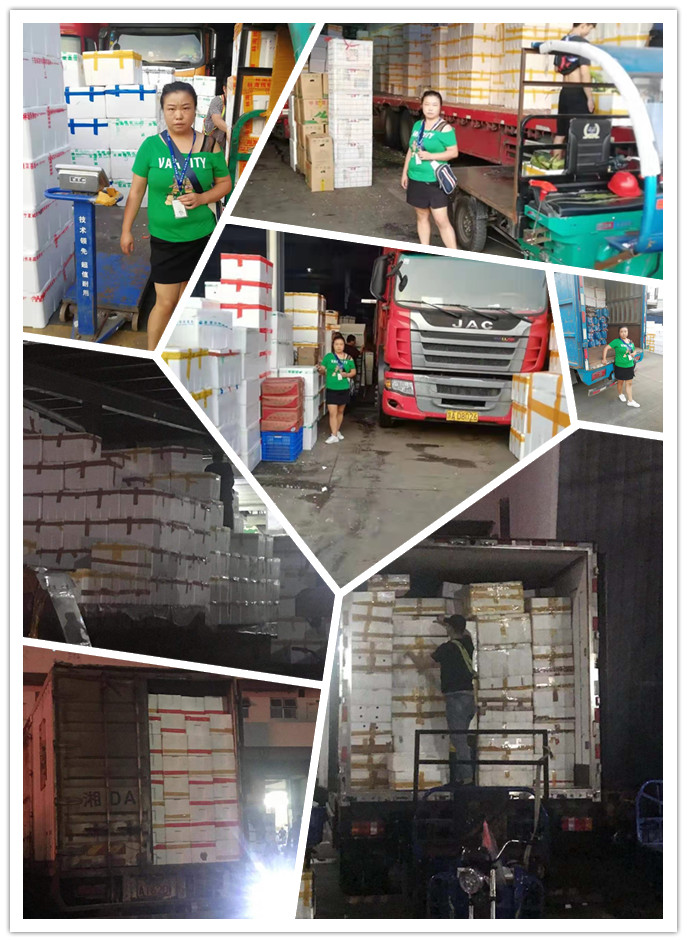 PA视讯(中国)集团官网 - PlayAce