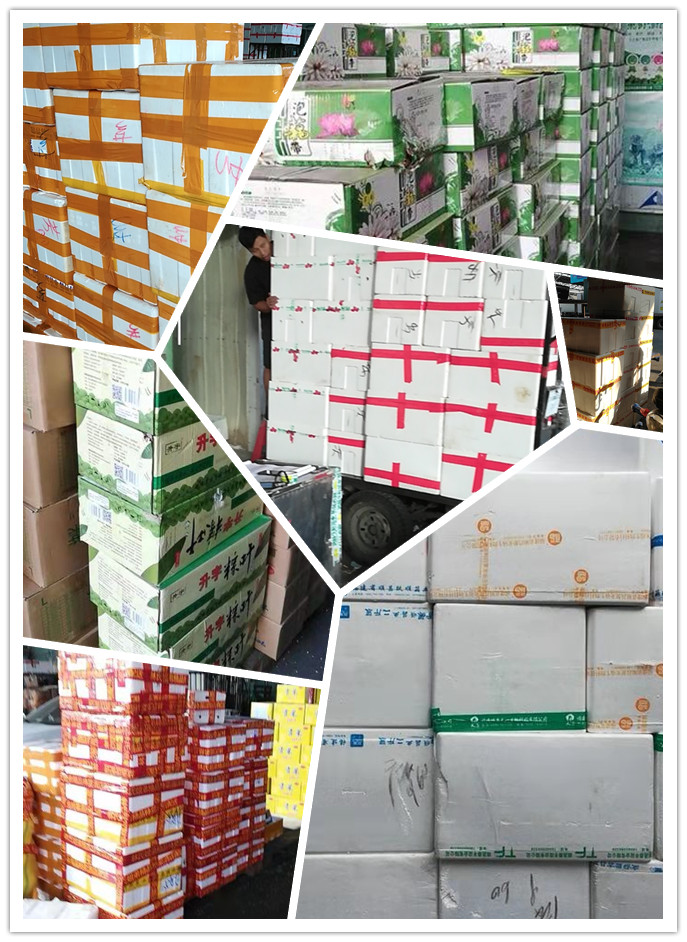 PA视讯(中国)集团官网 - PlayAce