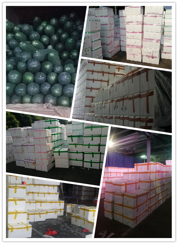 PA视讯(中国)集团官网 - PlayAce