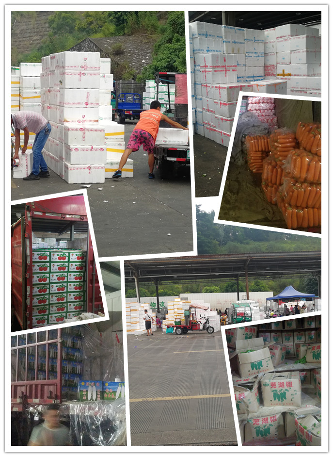 PA视讯(中国)集团官网 - PlayAce