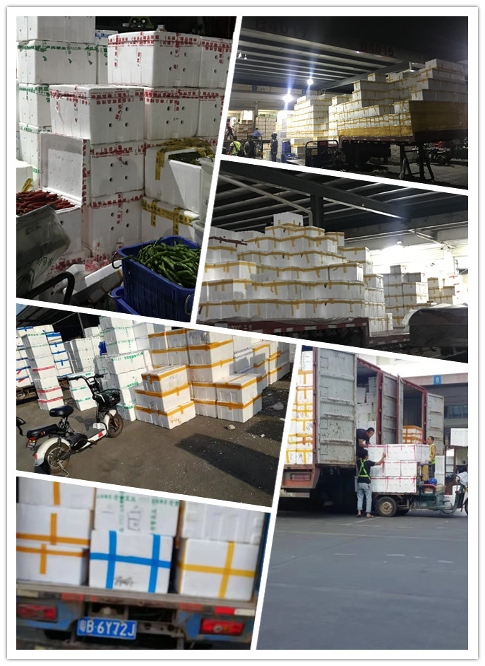 PA视讯(中国)集团官网 - PlayAce