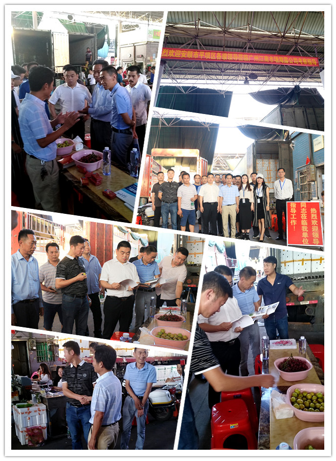 PA视讯(中国)集团官网 - PlayAce