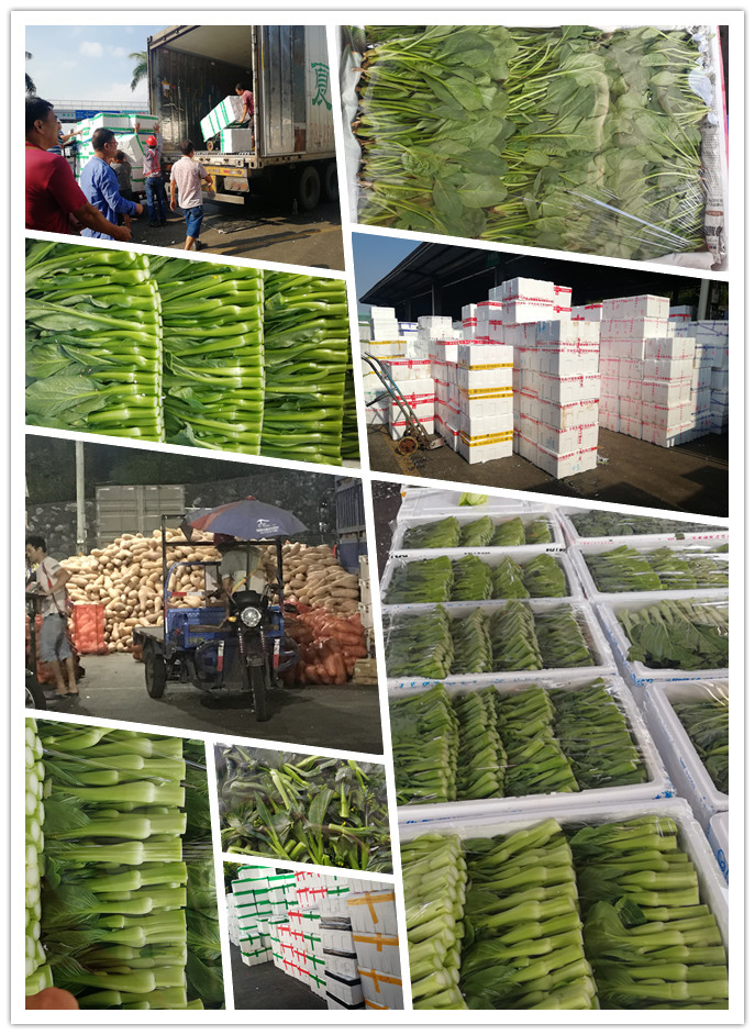 PA视讯(中国)集团官网 - PlayAce