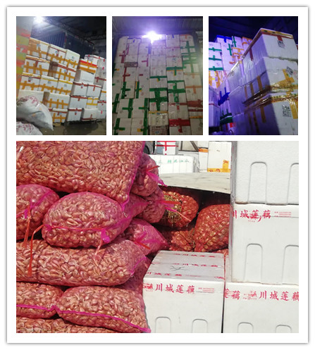 PA视讯(中国)集团官网 - PlayAce