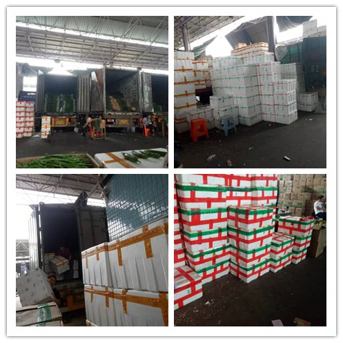 PA视讯(中国)集团官网 - PlayAce