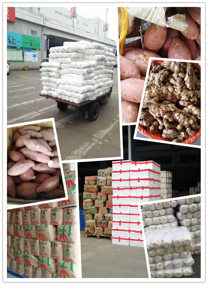 PA视讯(中国)集团官网 - PlayAce