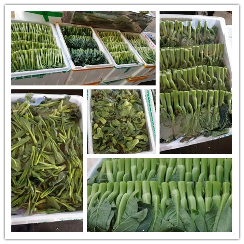 PA视讯(中国)集团官网 - PlayAce