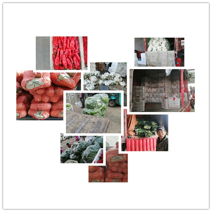 PA视讯(中国)集团官网 - PlayAce